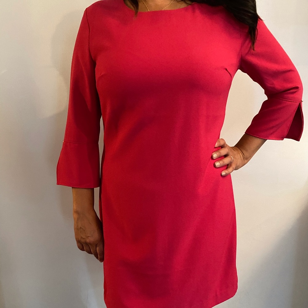 Pink Dress